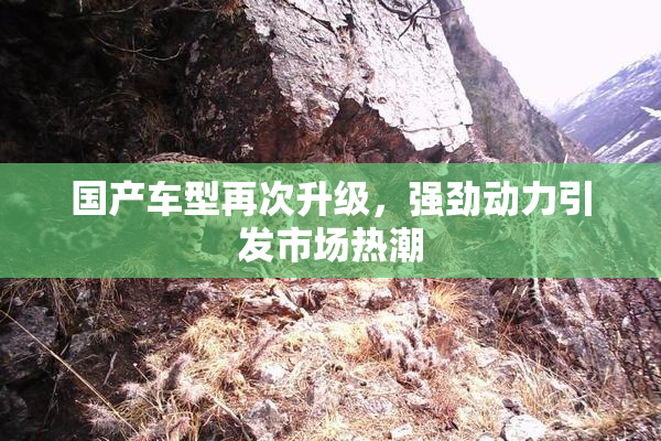 国产车型再次升级，强劲动力引发市场热潮