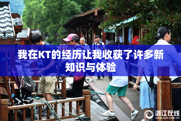 我在KT的经历让我收获了许多新知识与体验