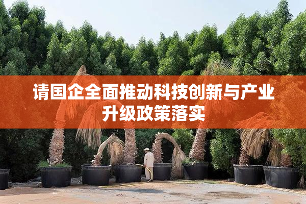 请国企全面推动科技创新与产业升级政策落实