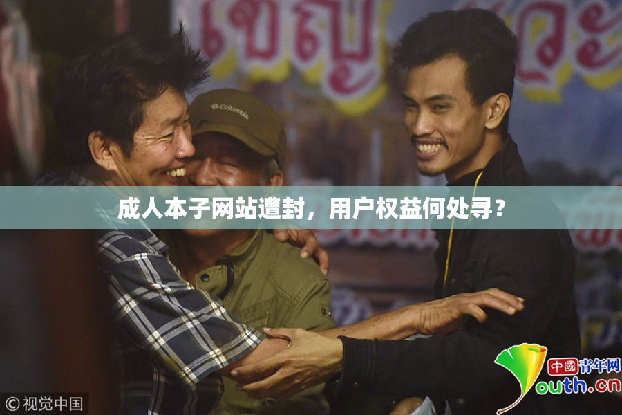 成人本子网站遭封，用户权益何处寻？