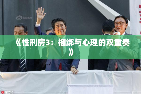 《性刑房3：捆绑与心理的双重奏》
