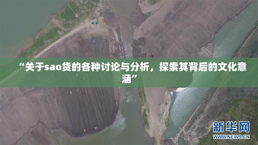 “关于sao货的各种讨论与分析，探索其背后的文化意涵”