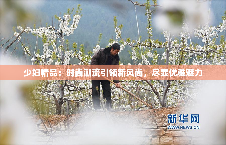 少妇精品：时尚潮流引领新风尚，尽显优雅魅力