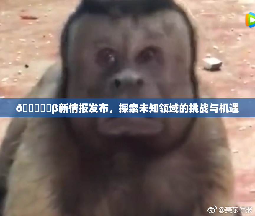 🍆❌‌β新情报发布，探索未知领域的挑战与机遇