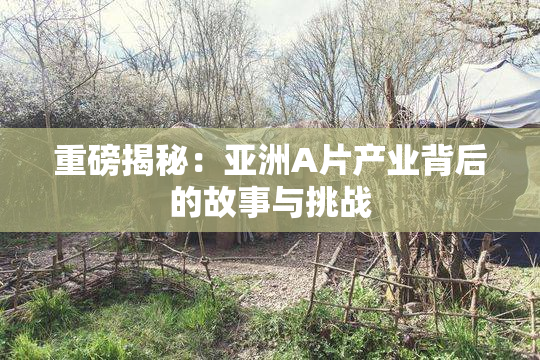 重磅揭秘：亚洲A片产业背后的故事与挑战