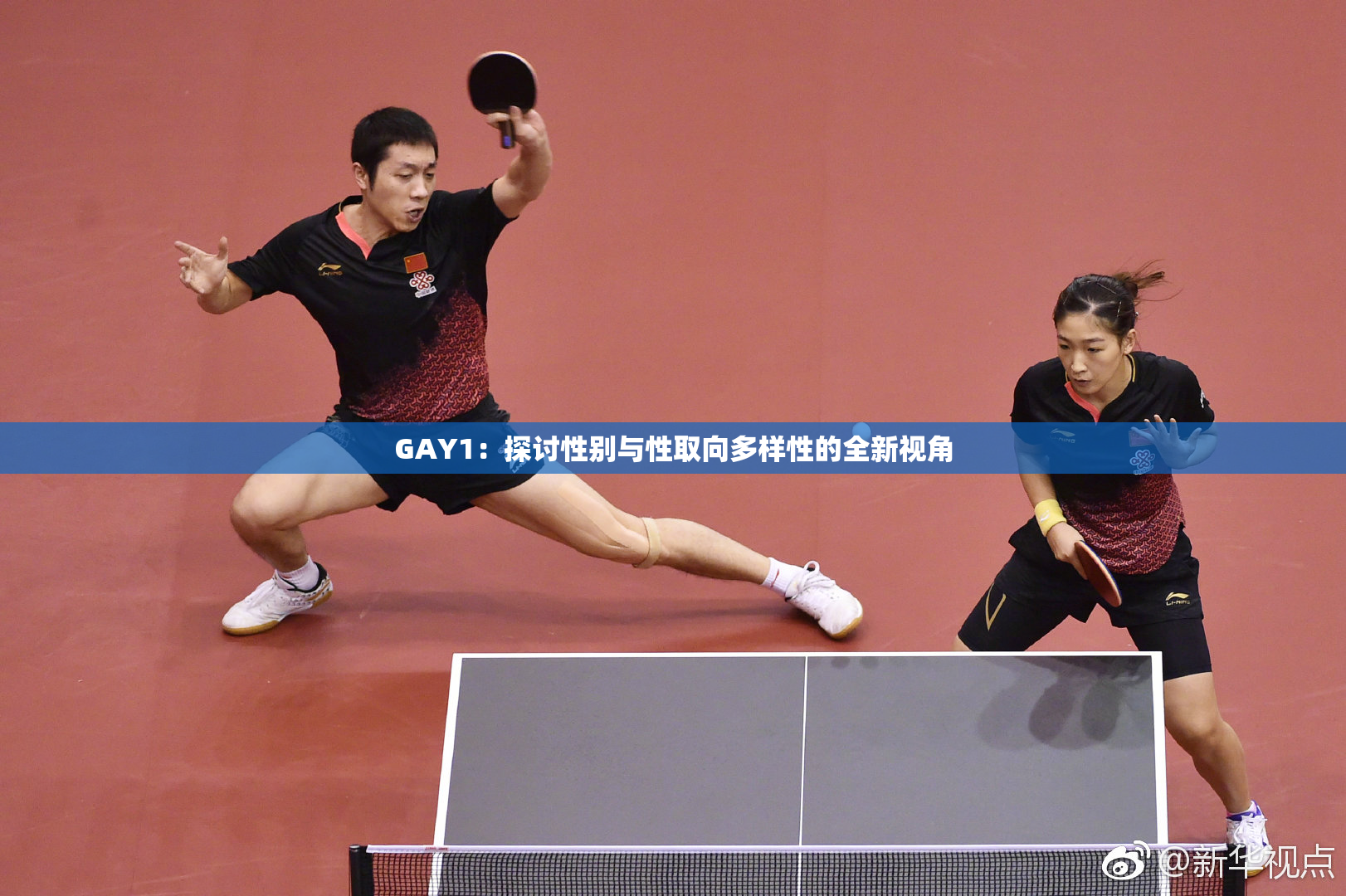GAY1：探讨性别与性取向多样性的全新视角