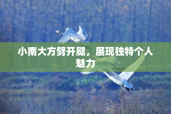 小南大方劈开腿，展现独特个人魅力