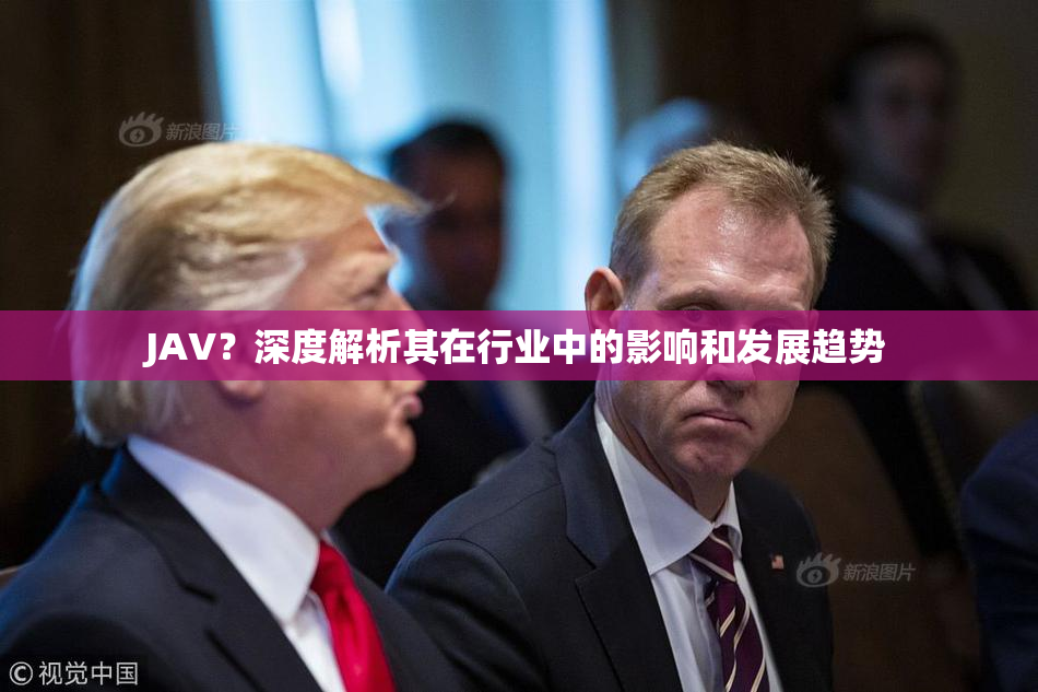 JAV？深度解析其在行业中的影响和发展趋势
