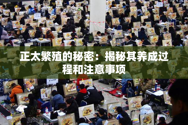 正太繁殖的秘密：揭秘其养成过程和注意事项