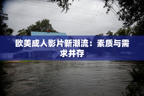 欧美成人影片新潮流：素质与需求并存