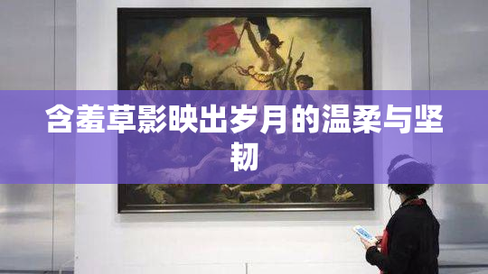 含羞草影映出岁月的温柔与坚韧