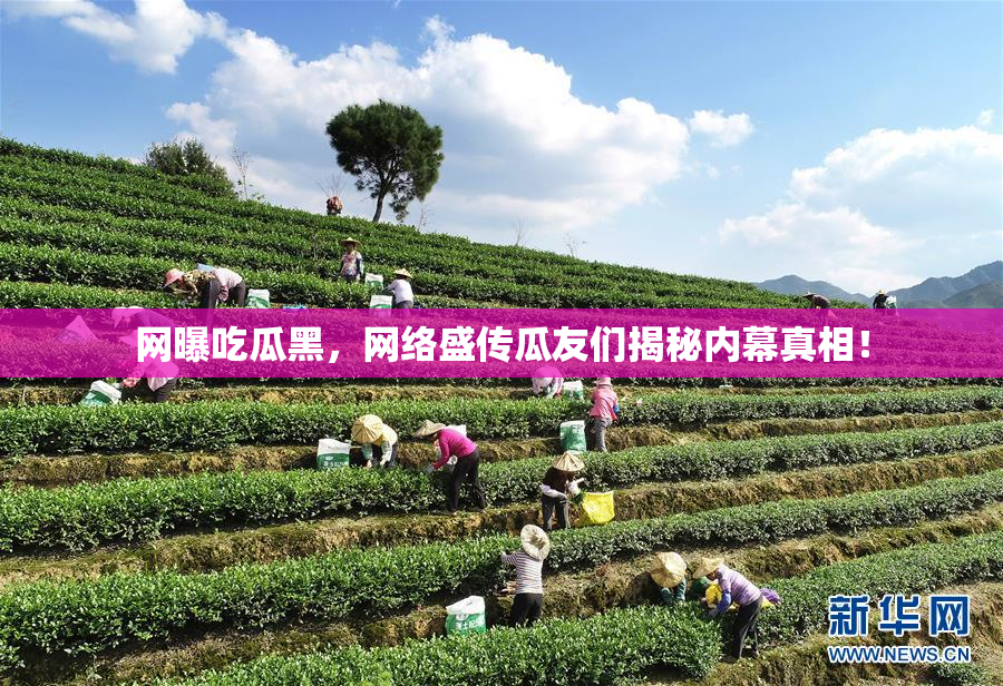 网曝吃瓜黑，网络盛传瓜友们揭秘内幕真相！