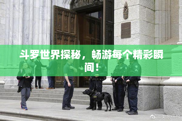斗罗世界探秘，畅游每个精彩瞬间！