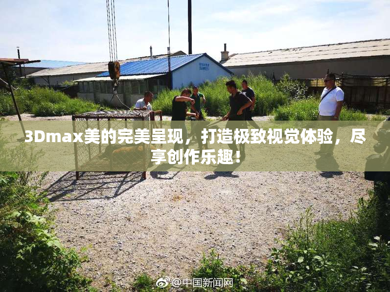 3Dmax美的完美呈现，打造极致视觉体验，尽享创作乐趣！