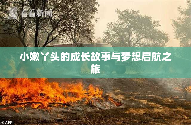 小嫩丫头的成长故事与梦想启航之旅