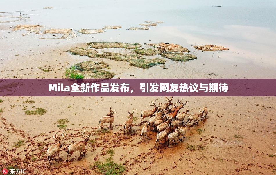 Mila全新作品发布，引发网友热议与期待
