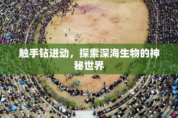 触手钻进动，探索深海生物的神秘世界