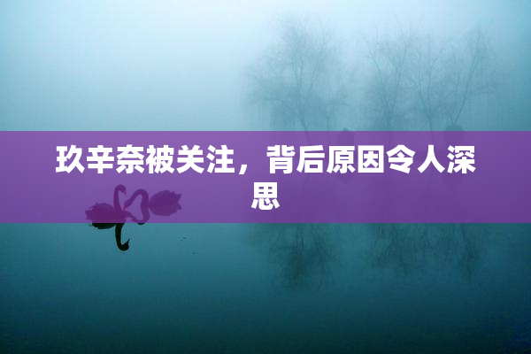 玖辛奈被关注，背后原因令人深思