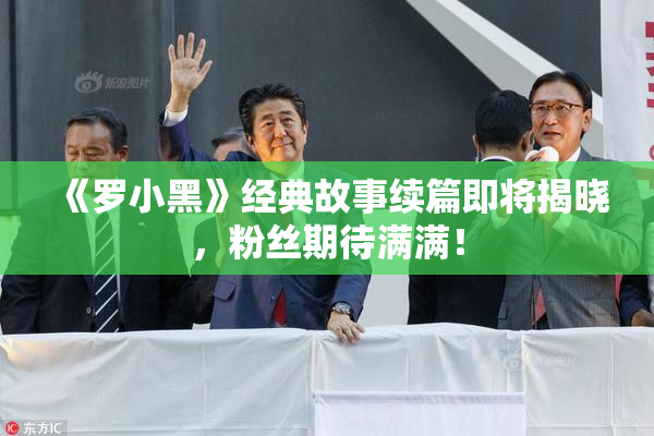 《罗小黑》经典故事续篇即将揭晓，粉丝期待满满！