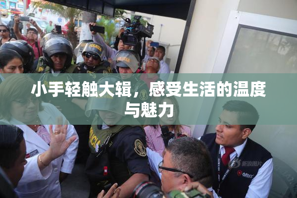 小手轻触大辑，感受生活的温度与魅力