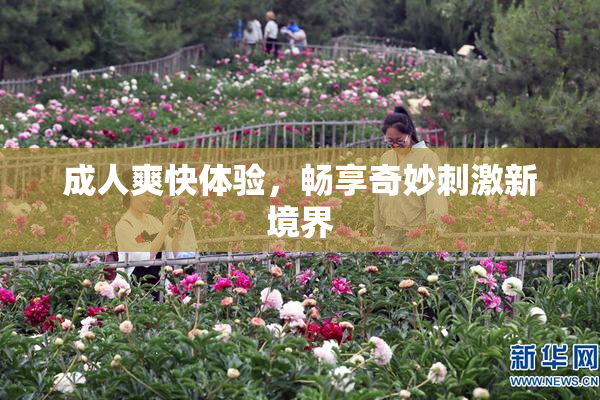 成人爽快体验，畅享奇妙刺激新境界