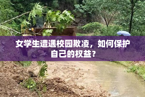 女学生遭遇校园欺凌，如何保护自己的权益？