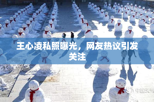 王心凌私照曝光，网友热议引发关注