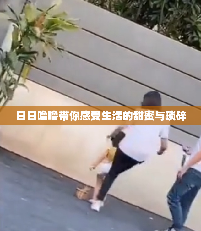 日日噜噜带你感受生活的甜蜜与琐碎