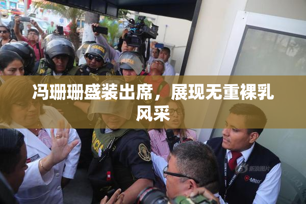 冯珊珊盛装出席，展现无重裸乳风采