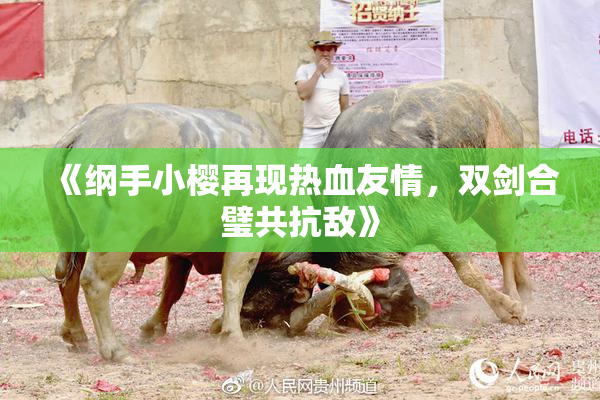 《纲手小樱再现热血友情，双剑合璧共抗敌》