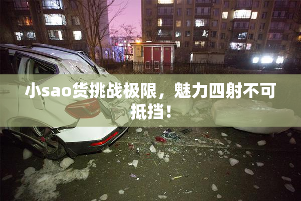 小sao货挑战极限，魅力四射不可抵挡！