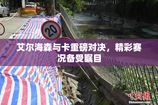 艾尔海森与卡重磅对决，精彩赛况备受瞩目