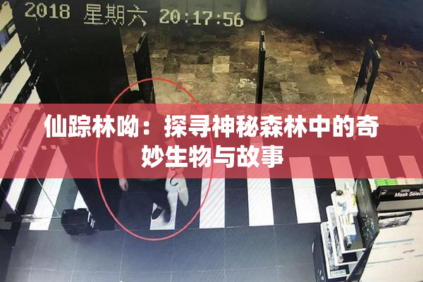 仙踪林呦：探寻神秘森林中的奇妙生物与故事