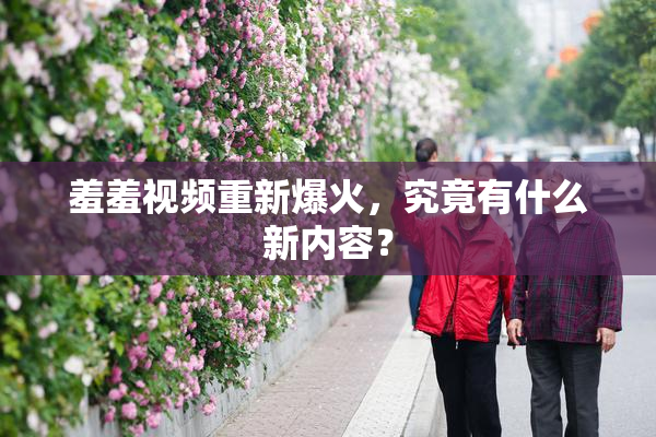 羞羞视频重新爆火，究竟有什么新内容？