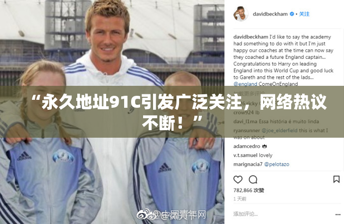 “永久地址91C引发广泛关注，网络热议不断！”