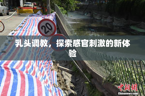 乳头调教，探索感官刺激的新体验