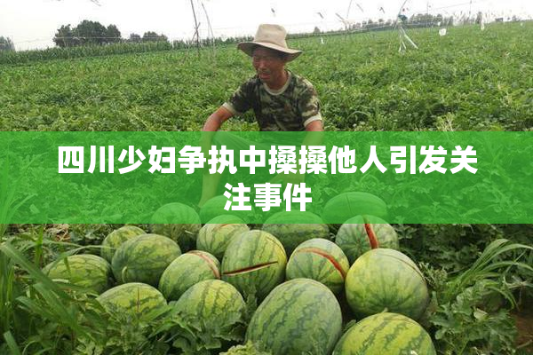四川少妇争执中搡搡他人引发关注事件
