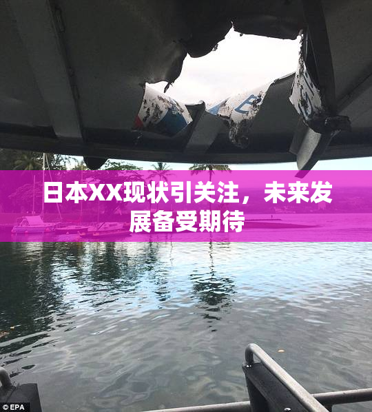 日本XX现状引关注，未来发展备受期待