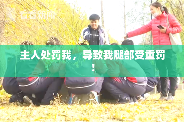 主人处罚我，导致我腿部受重罚！