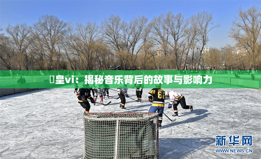 嘼皇vi：揭秘音乐背后的故事与影响力