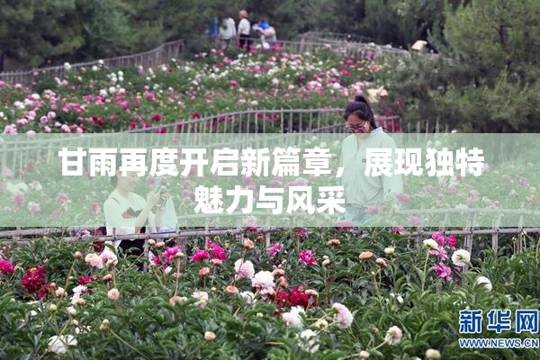 甘雨再度开启新篇章，展现独特魅力与风采