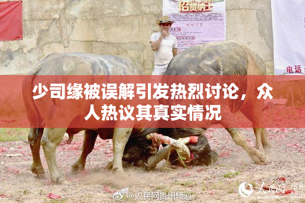 少司缘被误解引发热烈讨论，众人热议其真实情况