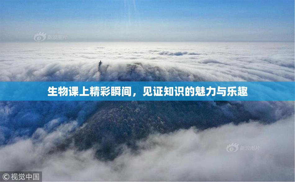 生物课上精彩瞬间，见证知识的魅力与乐趣