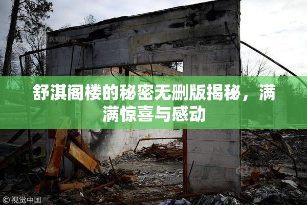 舒淇阁楼的秘密无删版揭秘，满满惊喜与感动