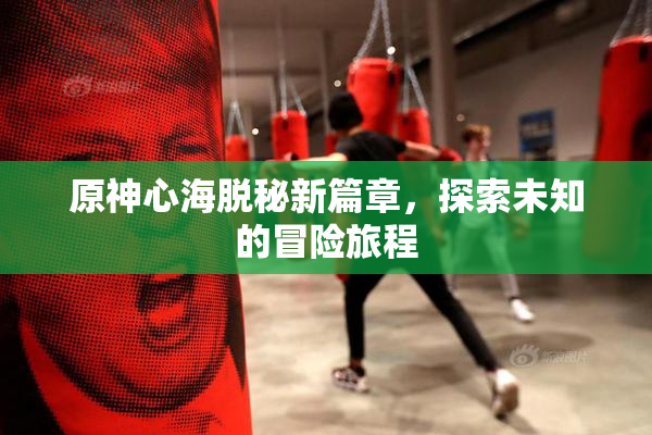 原神心海脱秘新篇章，探索未知的冒险旅程