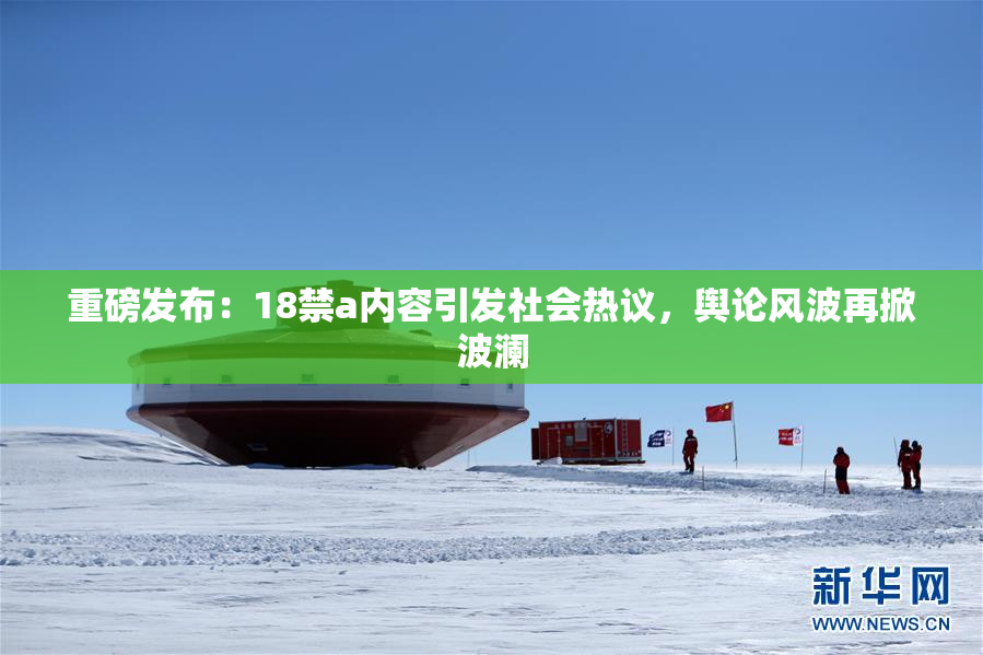 重磅发布：18禁a内容引发社会热议，舆论风波再掀波澜