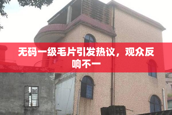 无码一级毛片引发热议，观众反响不一
