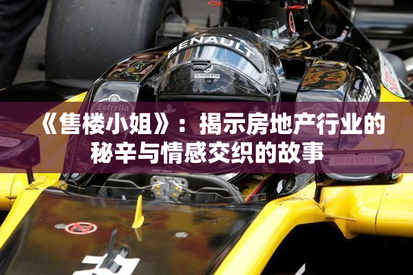 《售楼小姐》：揭示房地产行业的秘辛与情感交织的故事