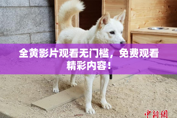全黄影片观看无门槛，免费观看精彩内容！