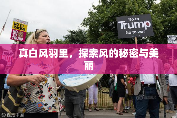 真白风羽里，探索风的秘密与美丽